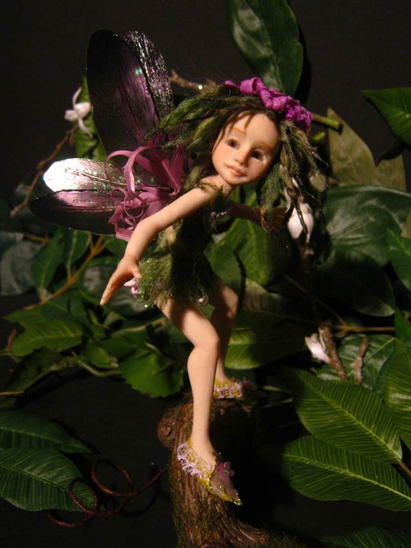 Fairy Fae Alga